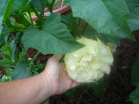 DSCN5322.jpg