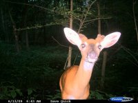 CDY_0002june17.jpg
