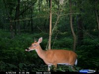 CDY_0001June17.jpg