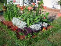 DSCN5257.jpg