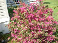 DSCN5111.jpg