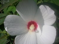 DSCN5340.jpg