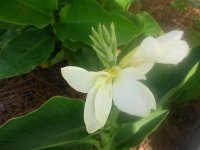 DSCN5344.jpg