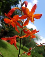 20180623_122342.jpg