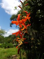 20180623_121849.jpg