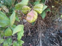 20190413_100247.jpg