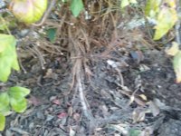 20190413_100241.jpg