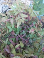 20190413_100224.jpg
