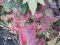 20190413_100219.jpg