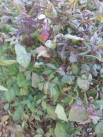 20190413_100209.jpg
