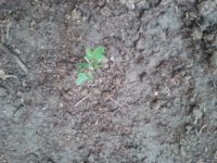 20190625_095203.jpg