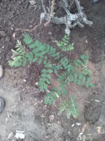 20190625_095108.jpg