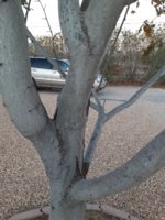 SMALL _065937.jpg