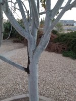 SMALL 2_065923.jpg