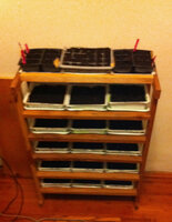 tofu containers in a shoe rack