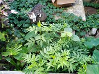 IMG_20210310_072758.jpg