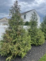 IMG_9809.jpg