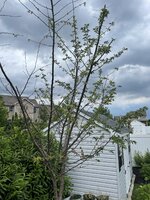 IMG_9808.jpg