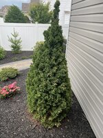 IMG_9812.jpg