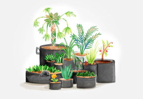 growbags.jpg