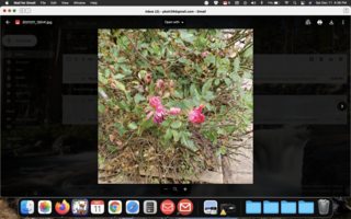 Screen Shot 2021-12-11 at 4.38.10 PM.png