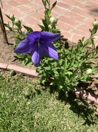 7895B2C3-787B-4B3A-A9EC-1B64675F685D.jpeg