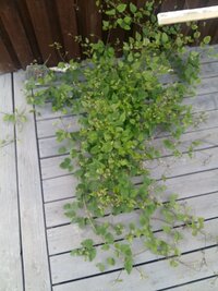 20230620_182913.jpg