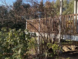 IMG_3555.jpeg