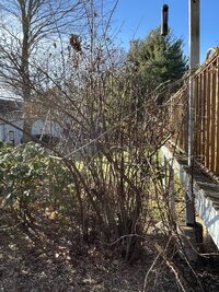IMG_3554.jpeg