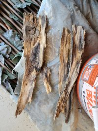 New Bark-04.jpg
