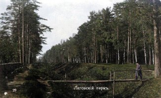 polezh-ligovskij-park1.jpg