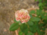 12P3030989.JPG