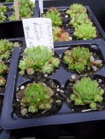 June 18 2009 027.jpg