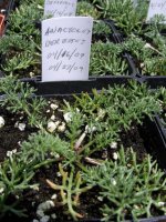 June 18 2009 017.jpg