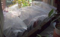 June 18 2009 061.jpg