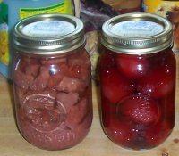 100_4480cans1.jpg