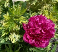 May 24 09 020.jpg