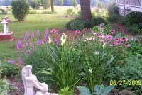 Liatris- Calla Lilies- Coneflowers 4.jpg