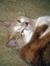 IMG_3330 (2)small EM.jpg