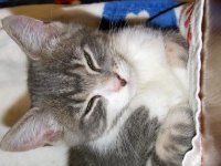 Skittles 007 (2)  EM.jpg