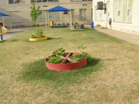 garden.jpg