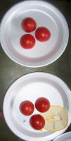 100_4488aaaa.jpg