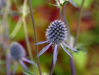 DSC_5041.jpg