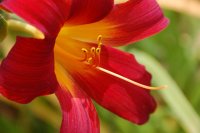 DSC_5090.jpg