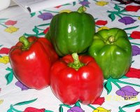 Peppers 2.jpg