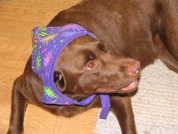 Ellie #3 016 (2)  EM.jpg