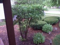 IMG00200.jpg