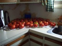 maters.jpg