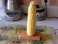 2009_0909ShitakeCorn0020.JPG