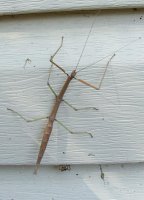 August 30 2009 116.jpg
